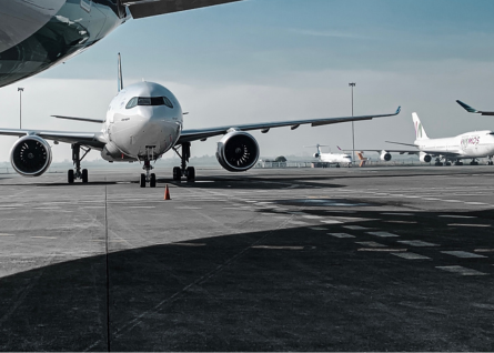 O governo brasileiro anunciou  novas diretrizes para o transporte aéreo de pets